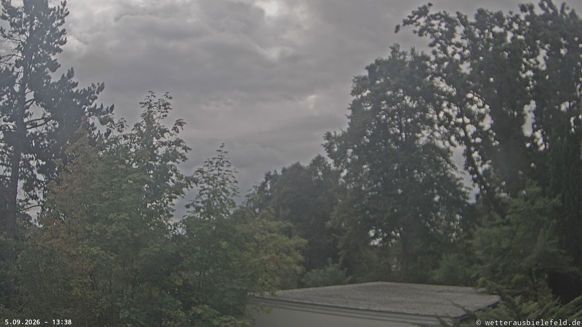 Webcam Bild